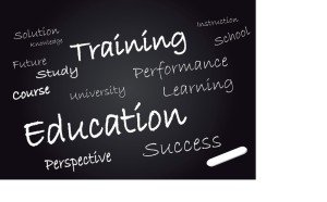 Online Education Experience