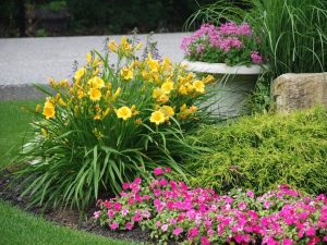 C27 Landscaping Contractors License