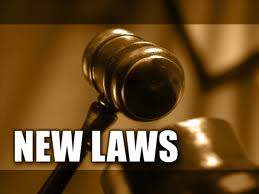 new contractors license law