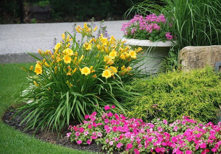 C27 Landscaping Contractors License